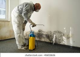 Mold Odor Removal Services in Grant Park, IL